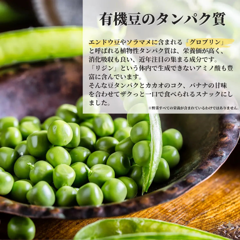 CACAO BITE カカオと植物プロテインのクランチ 30g