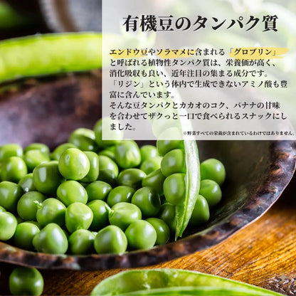 CACAO BITE カカオと植物プロテインのクランチ 30g